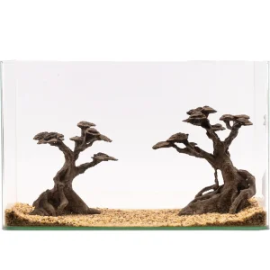 NatureHolic Stone Bonsai Kasei Twin, 2 Bäume Jetzt Bestellen
